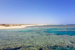 1_IMG-20171226-WA0016