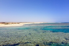 IMG-20171226-WA0016
