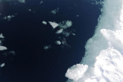 IMG-20180304-WA0014