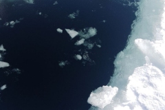 IMG-20180304-WA0014