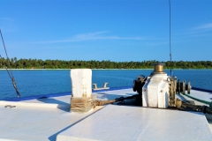 20190902_164303-2-scaled