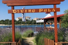 IMG-20190627-WA0001