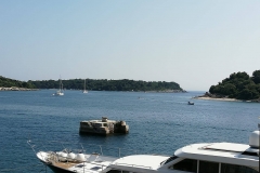 IMG-20190705-WA0003